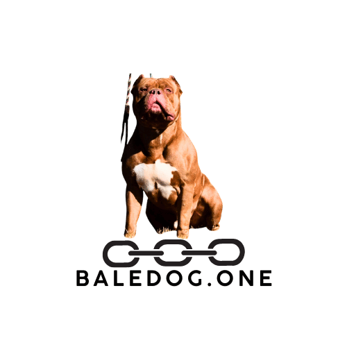Baledog One