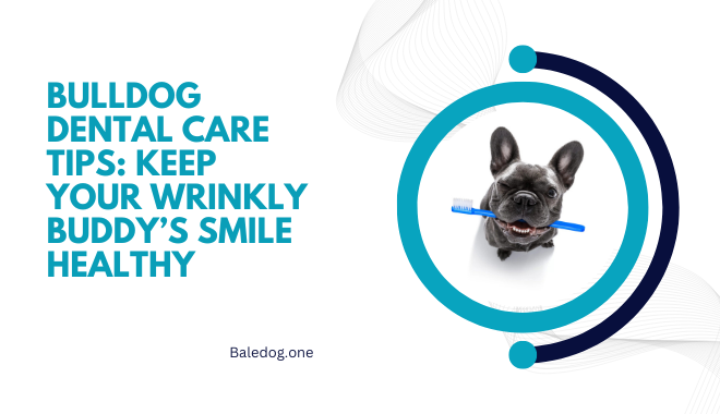 Bulldog Dental Care Tips Keep Your Wrinkly Buddy’s Smile Healthy