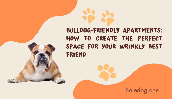 Bulldog-Friendly Apartments How to Create the Perfect Space for Your Wrinkly Best Friend