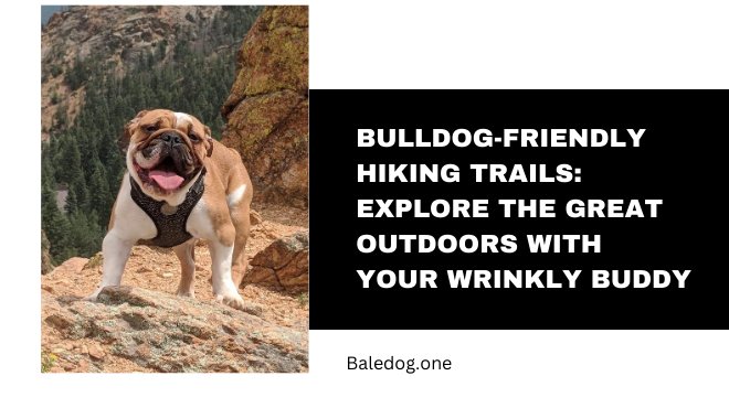 Bulldog-Friendly Hiking Trails Explore the Great Outdoors with Your Wrinkly Buddy