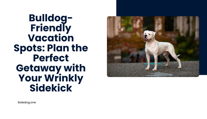 Bulldog-Friendly Vacation Spots Plan the Perfect Getaway with Your Wrinkly Sidekick