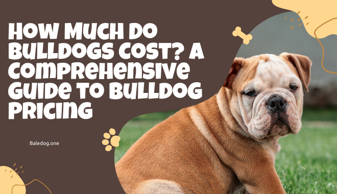 How Much Do Bulldogs Cost A Comprehensive Guide to Bulldog Pricing